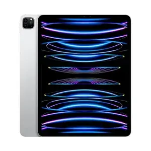 Sell Old iPad Pro 12.9-inch (6th generation) Wi-Fi 2022 For Cash